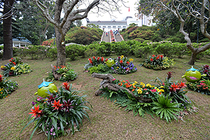 Many types of local flowers in season have been planted in Government House for the Open Day.