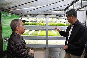 Hydroponic farming products grow faster with better quality.