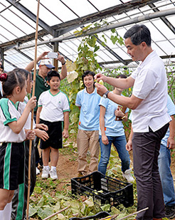 Visiting the organic farm, Mr Leung comes across a group of primary students who find farming interesting.