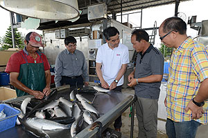 The Chief Executive learns how to label fisheries products.