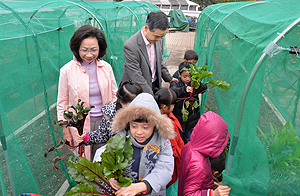 我和太太青仪在拍摄前带领小朋友参观礼宾府，小朋友对我亲手种的红菜头十分好奇。