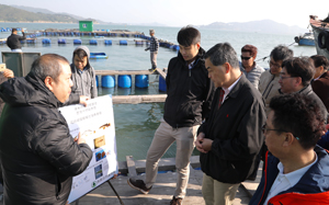 The Chief Executive, together with the Secretary for Food and Health, Dr Ko Wing-man, visited a fish farm on Lantau Island today and was briefed by a colleague from the Agriculture, Fisheries and Conservation Department on how the Sustainable Fisheries Development Fund had supported the farm. The white flower croakers there are raised mainly for their swim bladders, which are used to produce high-value fish maw.