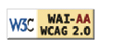 2A无障碍说明, Explanation of WCAG 2.0 Level Double-A Conformance